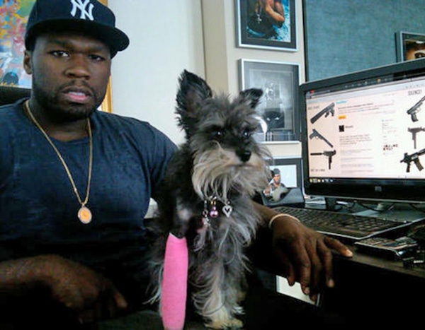 50 Cent S Dog Oprah From Celeb Pets With Famous Names E